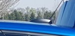 20190508_105554.jpg
