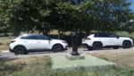 IMG_20200722_145750.jpg