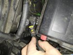 IMG_20201016_113343.jpg