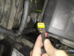 IMG_20201016_113348.jpg