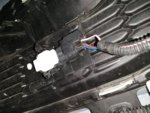 IMG_20201103_113300.jpg